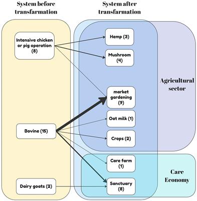 Quitting livestock farming: transfarmation pathways and factors of change from post-livestock farmers’ accounts